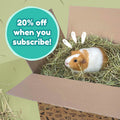 Timothy Hay for Guinea Pigs Kavee Pets Ltd UK