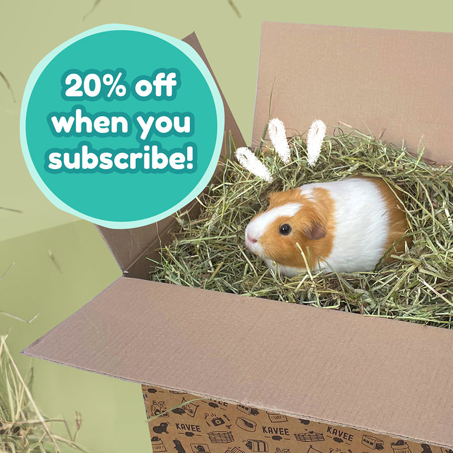 Timothy Hay for Guinea Pigs Kavee Pets Ltd UK