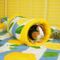 Guinea Pig Tunnel | Amalfi Collection Kavee Pets Ltd UK