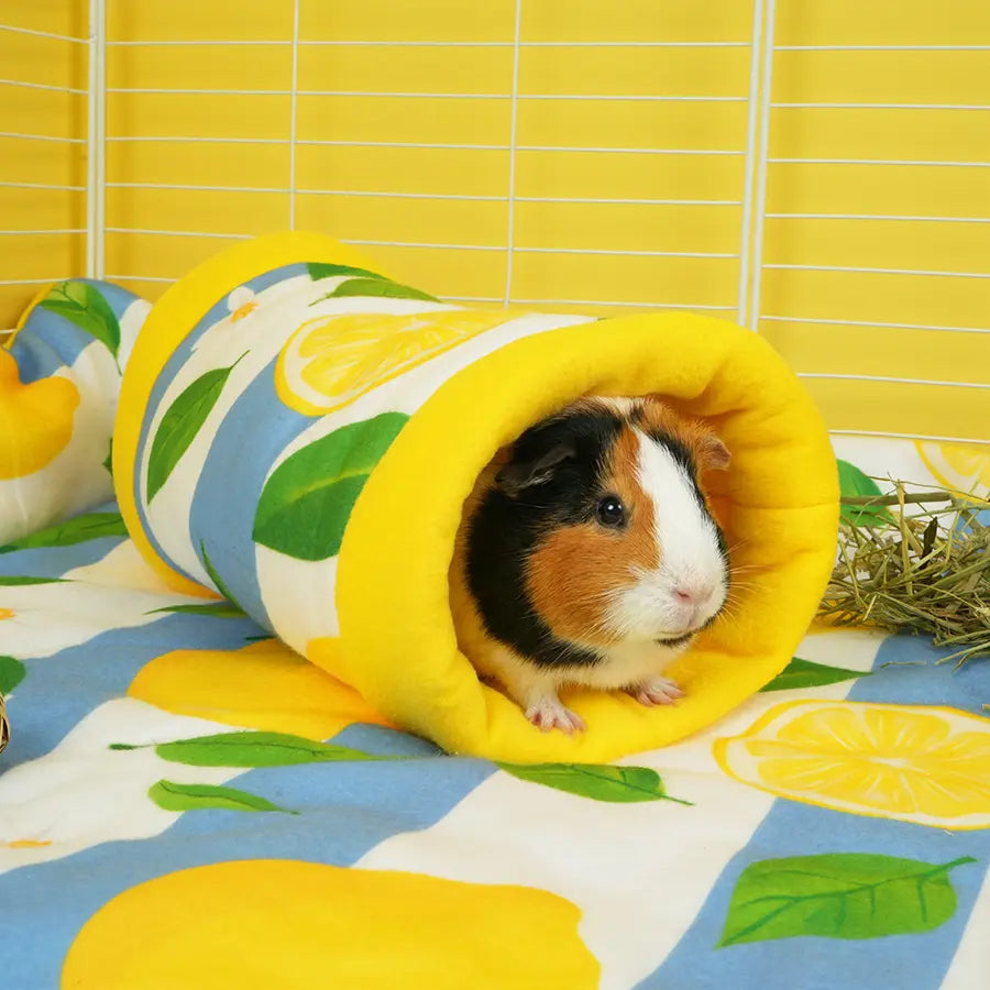 Guinea Pig Tunnel | Amalfi Collection Kavee Pets Ltd UK