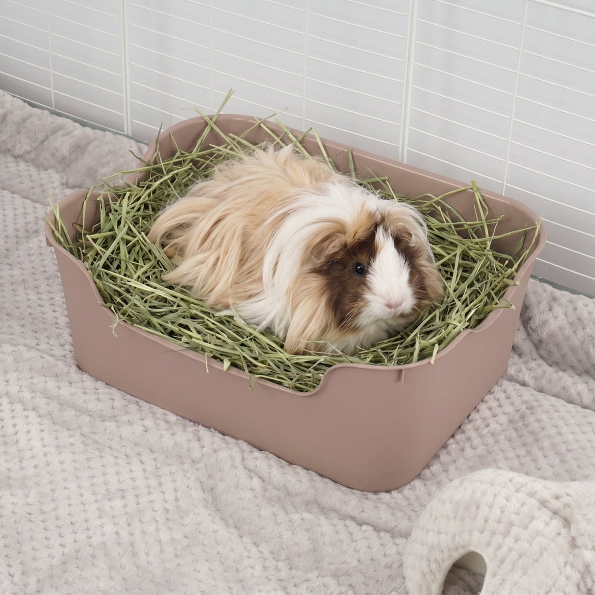 Litter Tray for Guinea Pigs and Rabbits Kavee Pets Ltd UK