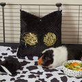 Cosy Cushions | Bold Black Kavee-UK