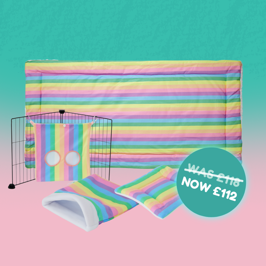 Radiant Rainbow Collection Bundle Kavee UK