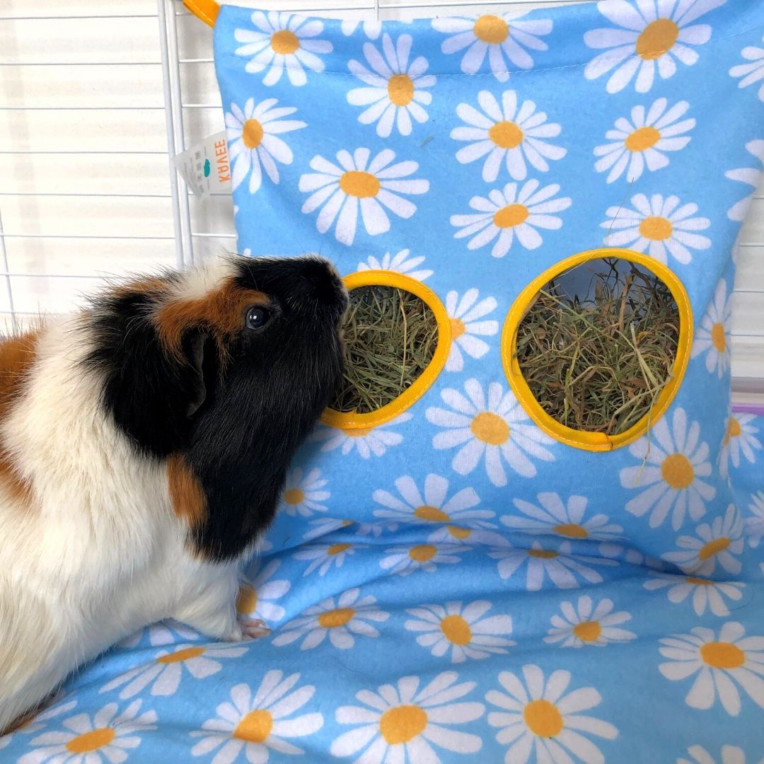 Hay Bag for Guinea Pig Cage | Daisy Collection Kavee Pets Ltd UK