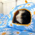 Guinea Pig Hide | Daisy Kavee Pets Ltd UK