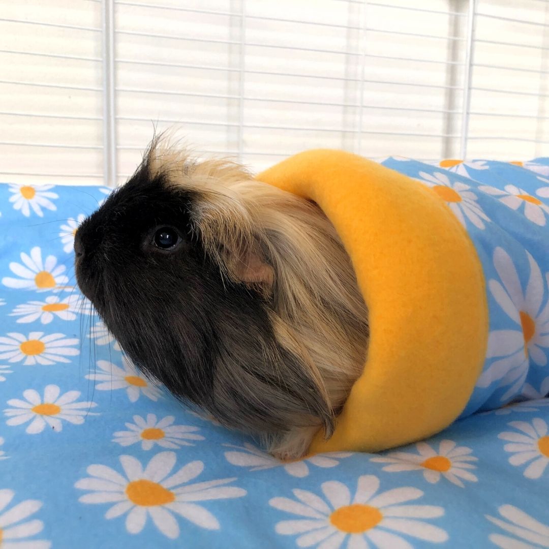 Set of 2 Plush Fleece Liners for Guinea Pigs | Daisy Collection Kavee Pets Ltd UK