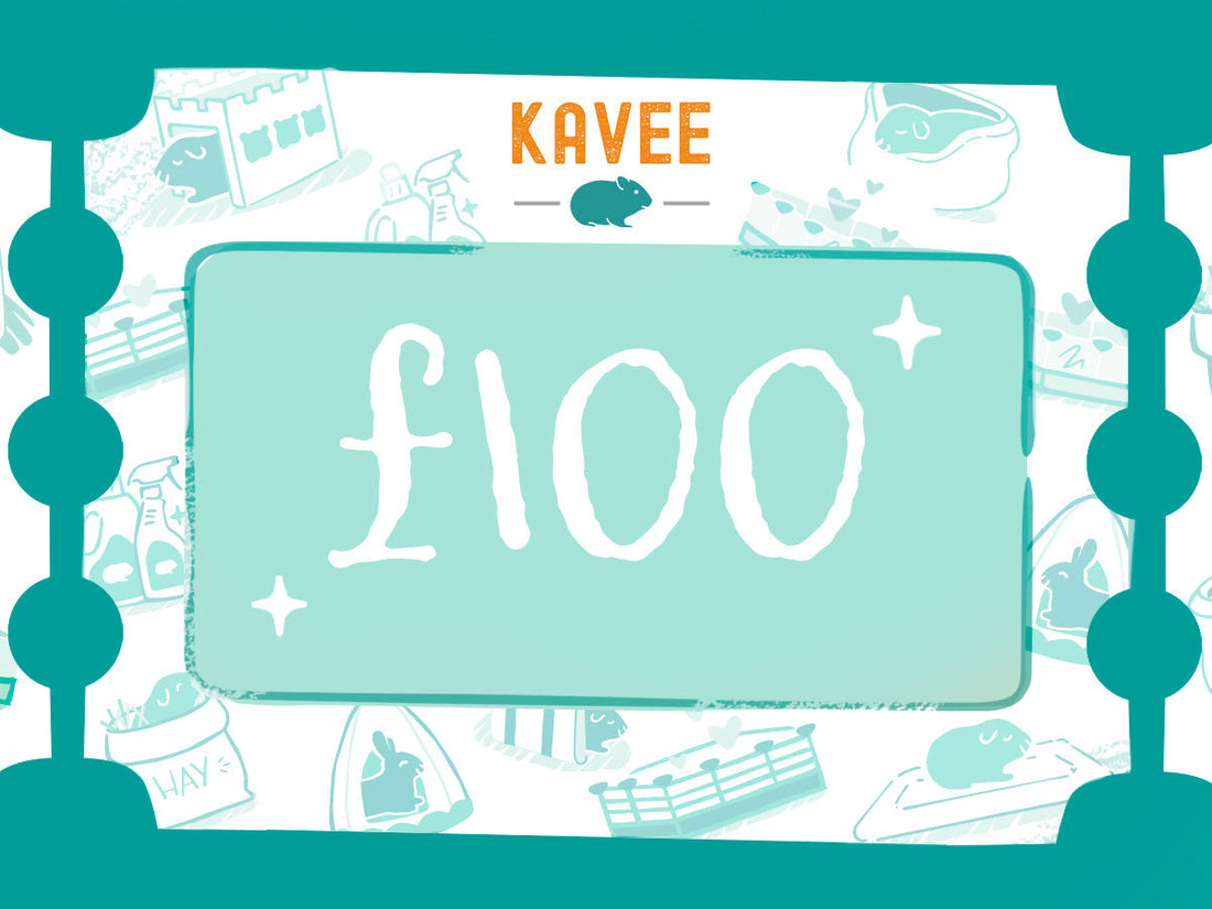 Kavee Gift Card | £100 Kavee Pets Ltd UK