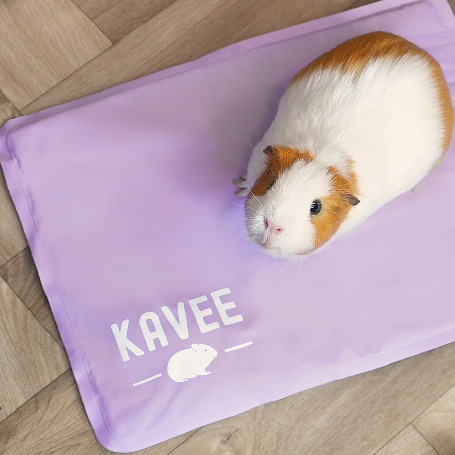 Guinea Pig and Rabbit Cooling Mat Kavee Pets Ltd UK