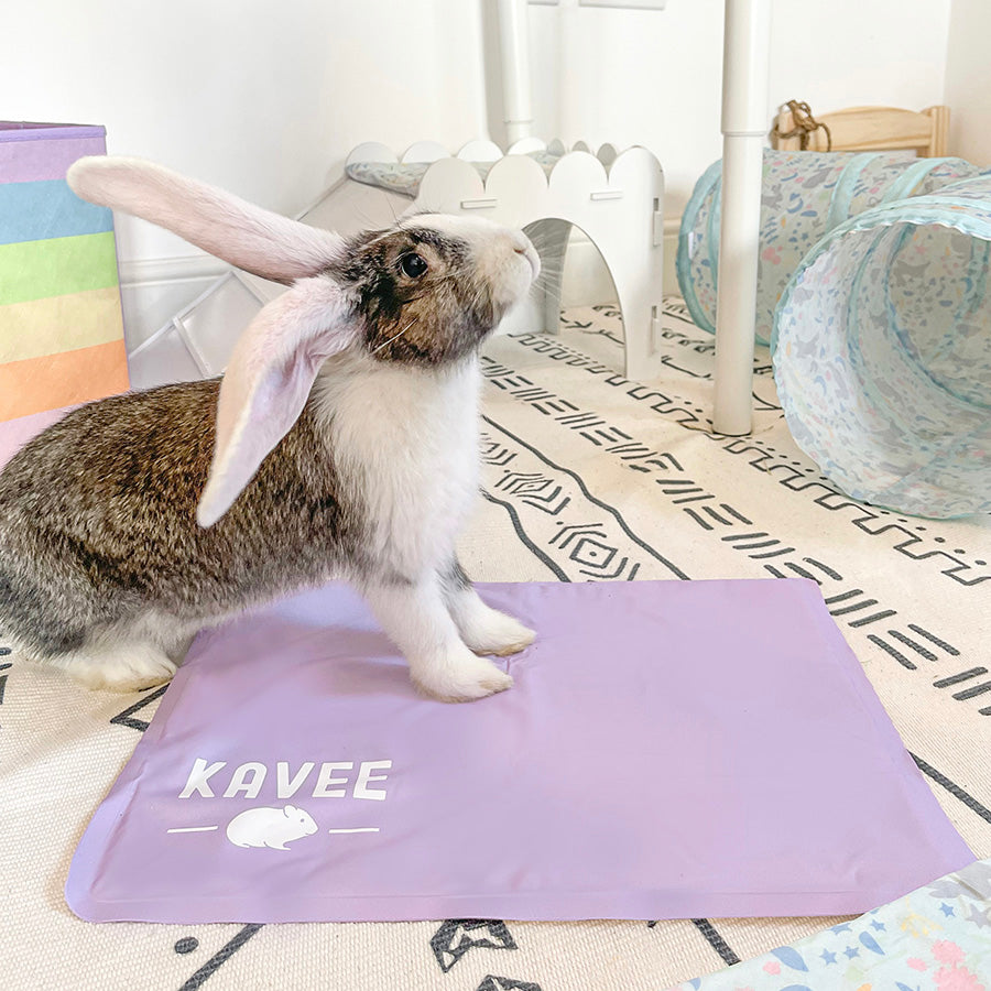 Guinea Pig and Rabbit Cooling Mat Kavee Pets Ltd UK