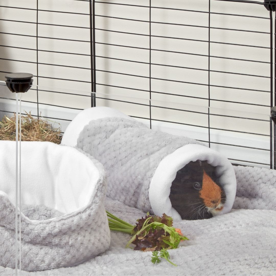 Extra Soft Tunnel for Guinea Pigs | Velvet Grey Kavee Pets Ltd UK