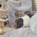 Extra Soft Hay Bag for Guinea Pigs | Velvet Grey Kavee Pets Ltd UK