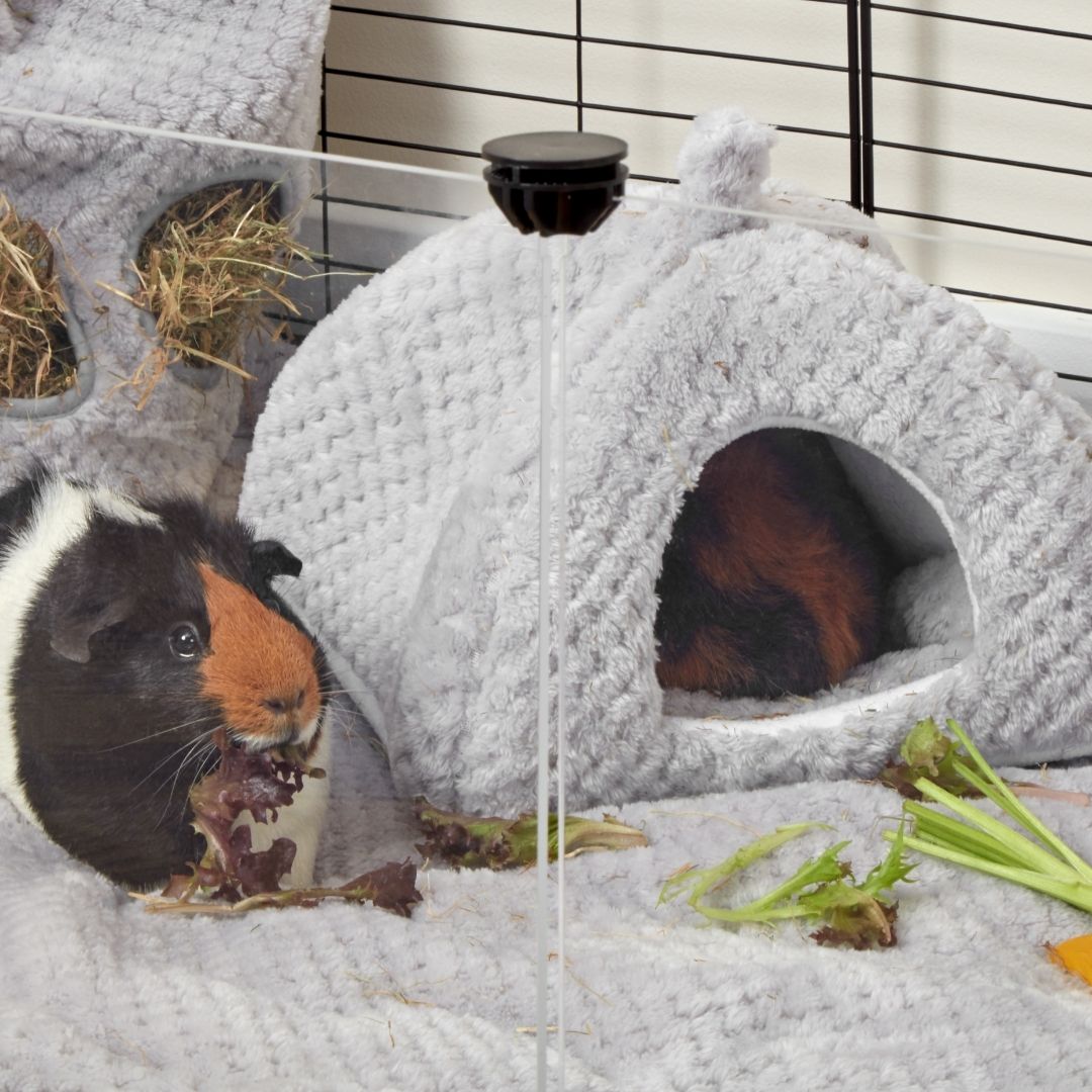 Extra Soft Fleece Hide for Guinea Pigs | Velvet Grey Kavee Pets Ltd UK