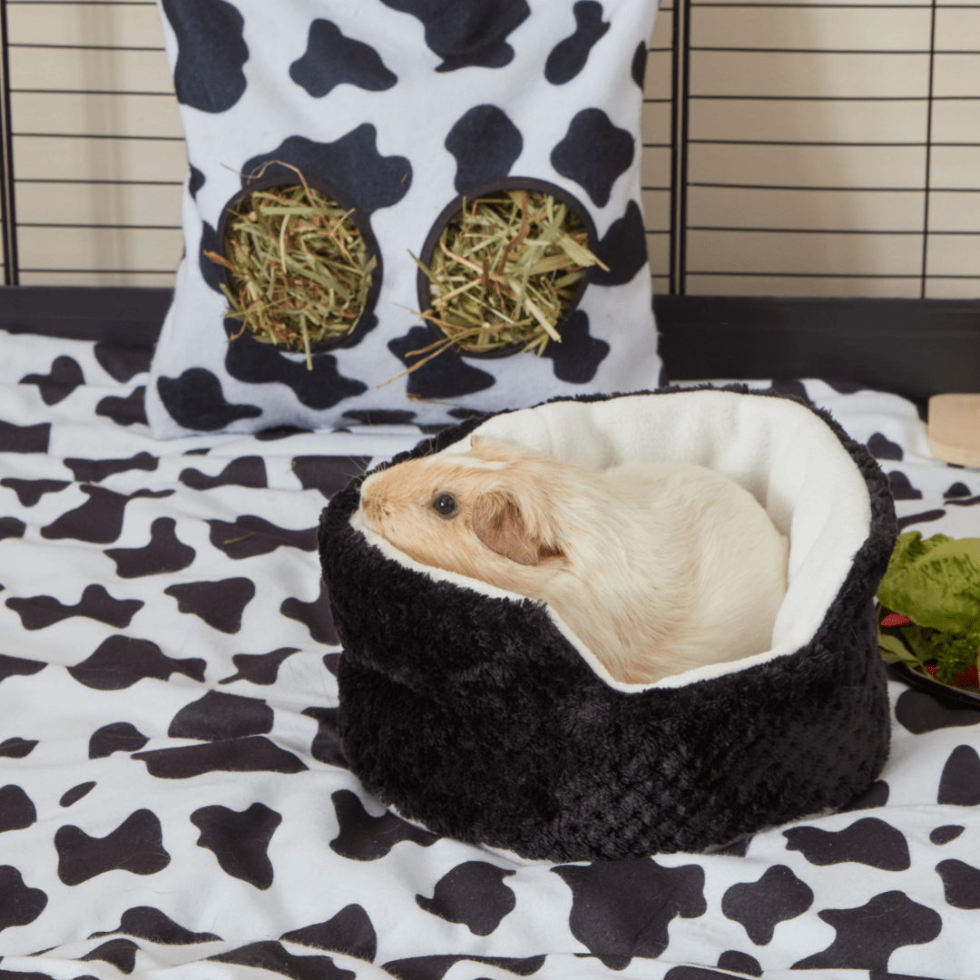 Extra Soft Cuddle Cup for Guinea Pigs | Bold Black Kavee Pets Ltd UK