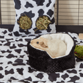 Extra Soft Cuddle Cup for Guinea Pigs | Bold Black Kavee Pets Ltd UK