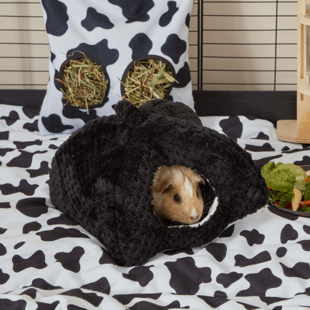 Extra Soft Fleece Hidey for Guinea Pigs | Bold Black Kavee Pets Ltd UK