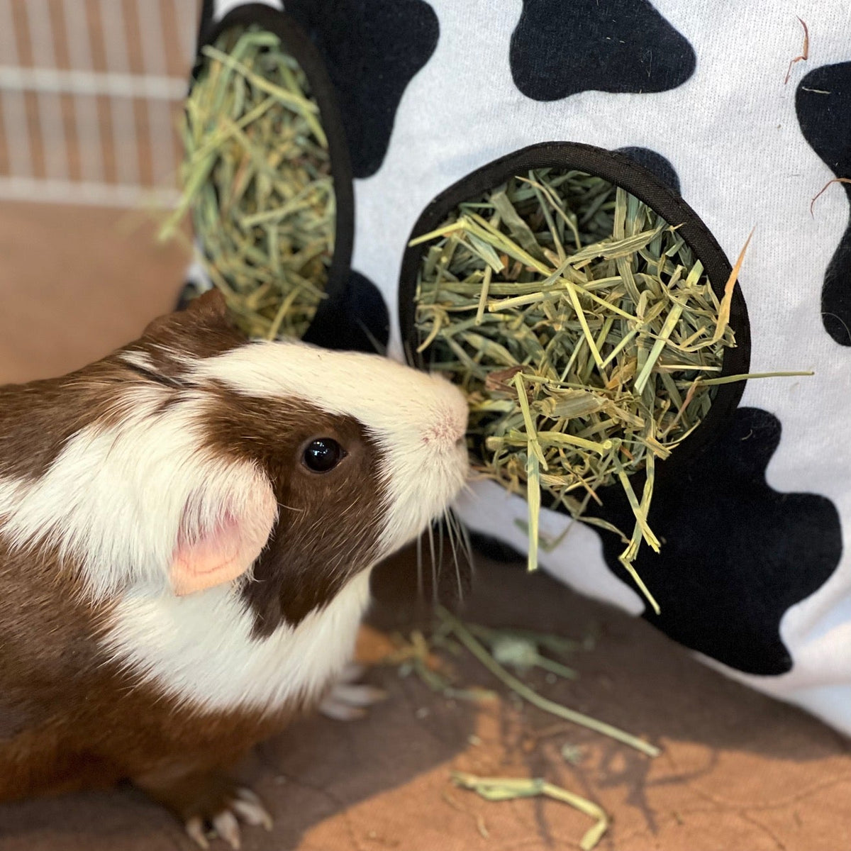 Hay Bag | Cow Kavee Pets Ltd UK