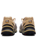 Nike x Patta Air Max Dn8 - Club Gold/Game Royal/Metallic Silver Nike