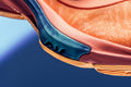 Zoom Freak 3 - Crimson Bliss/Thunder Blue/Dynamic Turq Nike