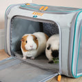 Guinea Pig and Rabbit Carrier Kavee Pets Ltd UK