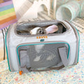 Guinea Pig and Rabbit Carrier Kavee Pets Ltd UK
