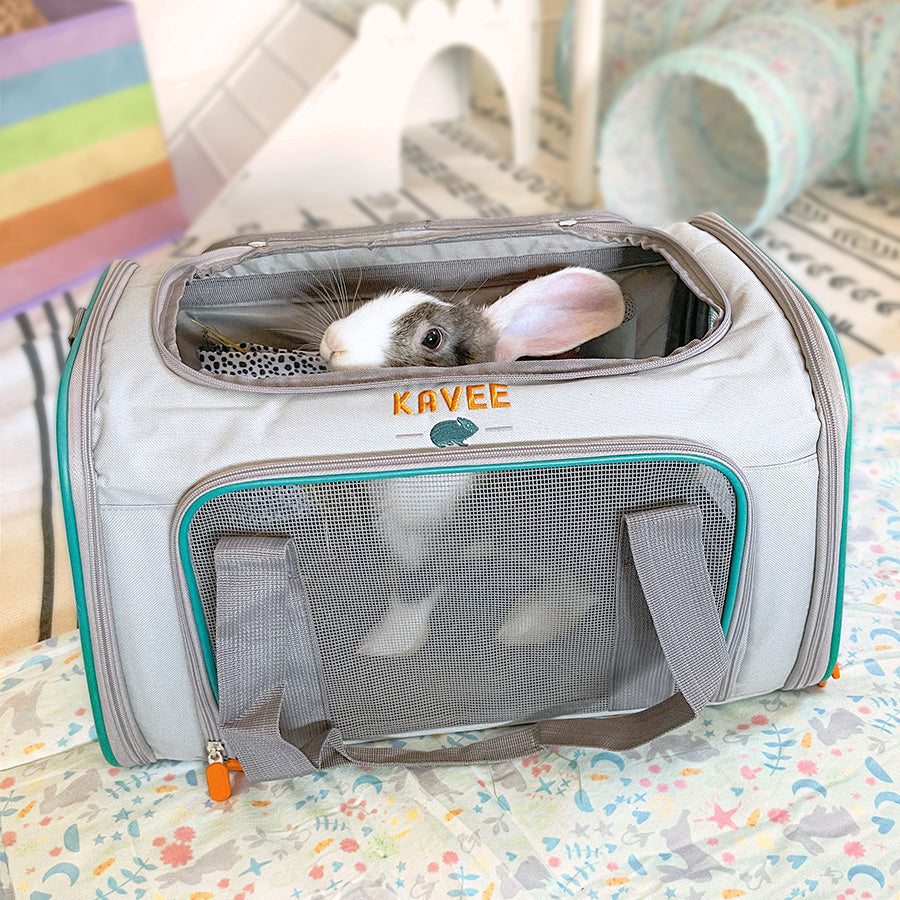 Guinea Pig and Rabbit Carrier Kavee Pets Ltd UK
