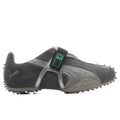 RPT-2 - Shadow Gray/Grassy Green Puma