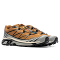 XT-6 - Cathay Spice/Quarry/Rose Cloud Salomon