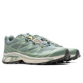 XT-6 - Laurel Wreath/Lily Pad/Desert Sage Salomon