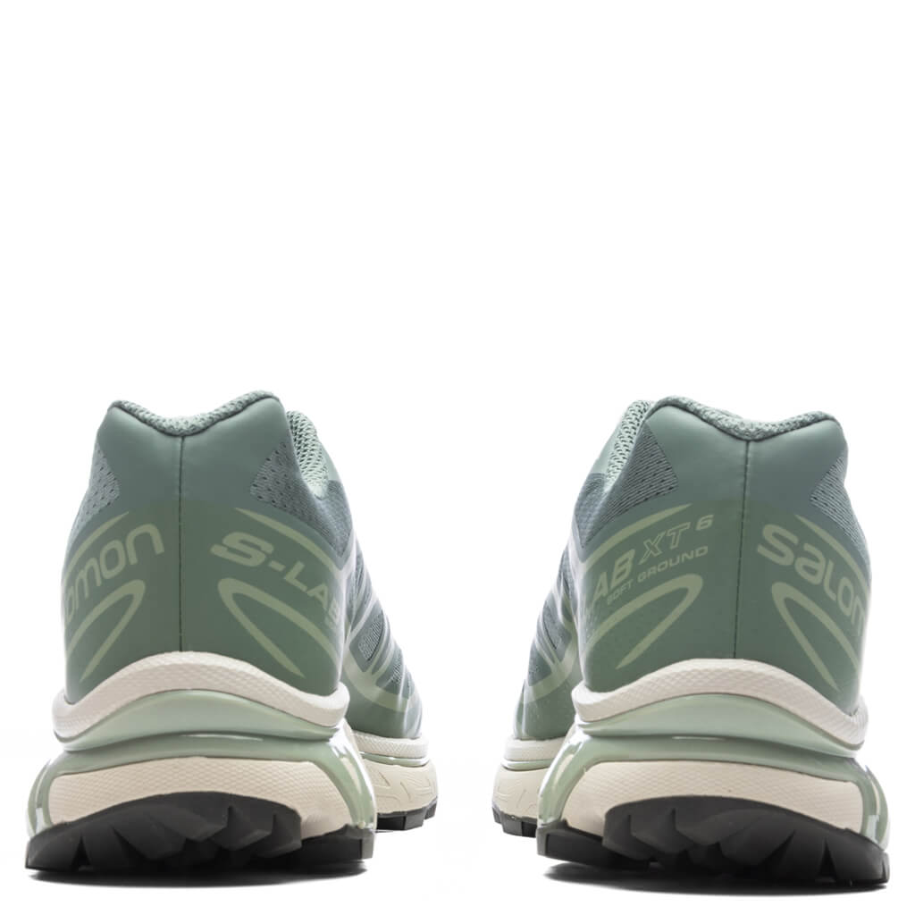 XT-6 - Laurel Wreath/Lily Pad/Desert Sage Salomon