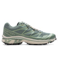 XT-6 - Laurel Wreath/Lily Pad/Desert Sage Salomon