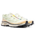XT-6 - Aloe Wash/Hazelnut/Feather Grey Salomon