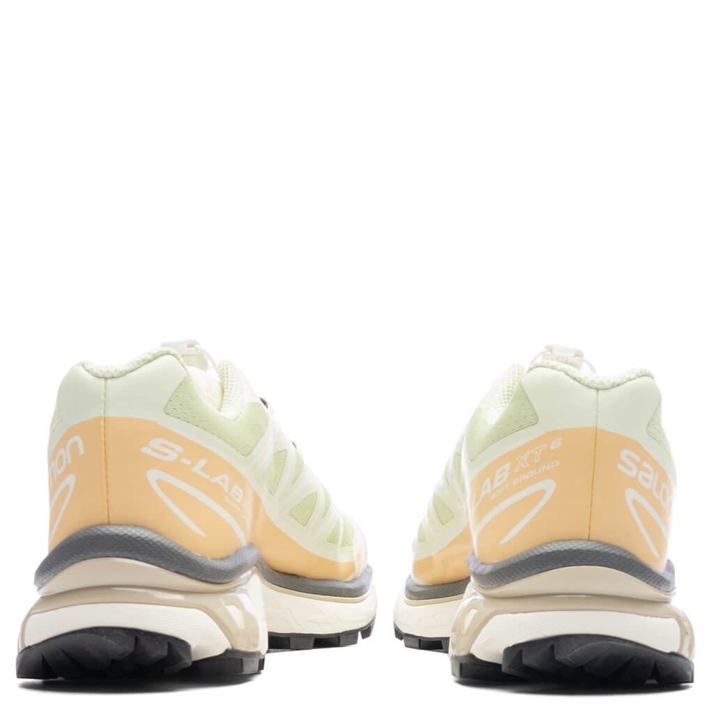 XT-6 - Aloe Wash/Hazelnut/Feather Grey Salomon
