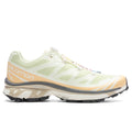 XT-6 - Aloe Wash/Hazelnut/Feather Grey Salomon