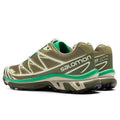 XT-6 - Dried Herb/Deep Lichen Green/Bright Green Salomon