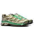 XT-6 - Dried Herb/Deep Lichen Green/Bright Green Salomon