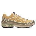 XT-6 GTX - Antelope/Icicle/Portabella Salomon