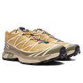 XT-6 GTX - Antelope/Icicle/Portabella Salomon