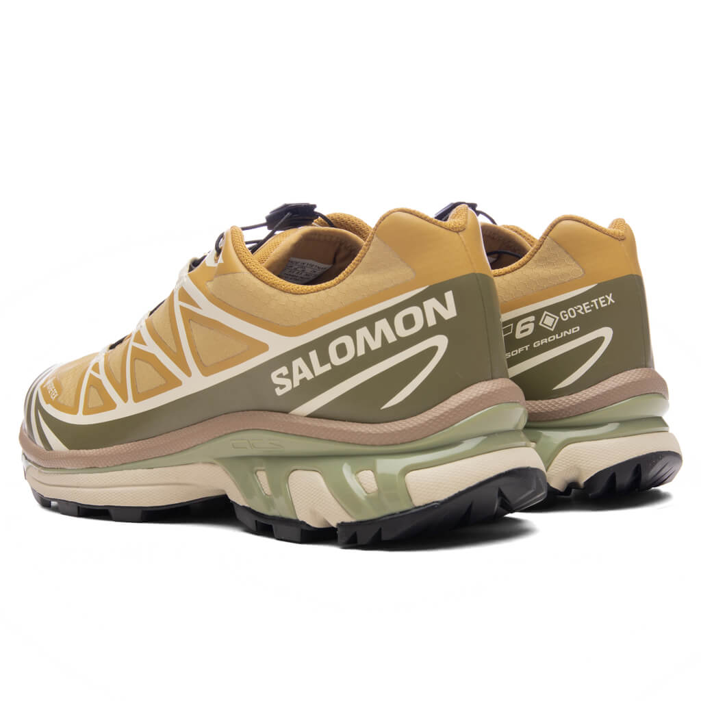 XT-6 GTX - Antelope/Icicle/Portabella Salomon