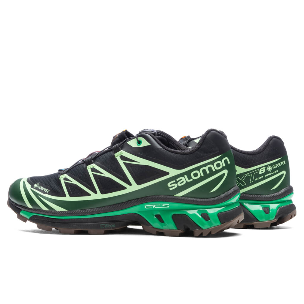 XT-6 GTX - Black/Eden/Green Ash Salomon