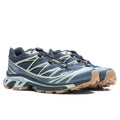 XT-6 GTX - Carbon/Bering Sea/Desert Sage Salomon