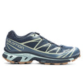 XT-6 GTX - Carbon/Bering Sea/Desert Sage Salomon