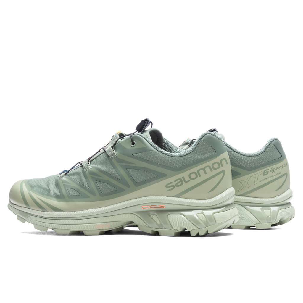 XT-6 GTX - Desert Sage/Lily Pad/Laurel Wren Salomon
