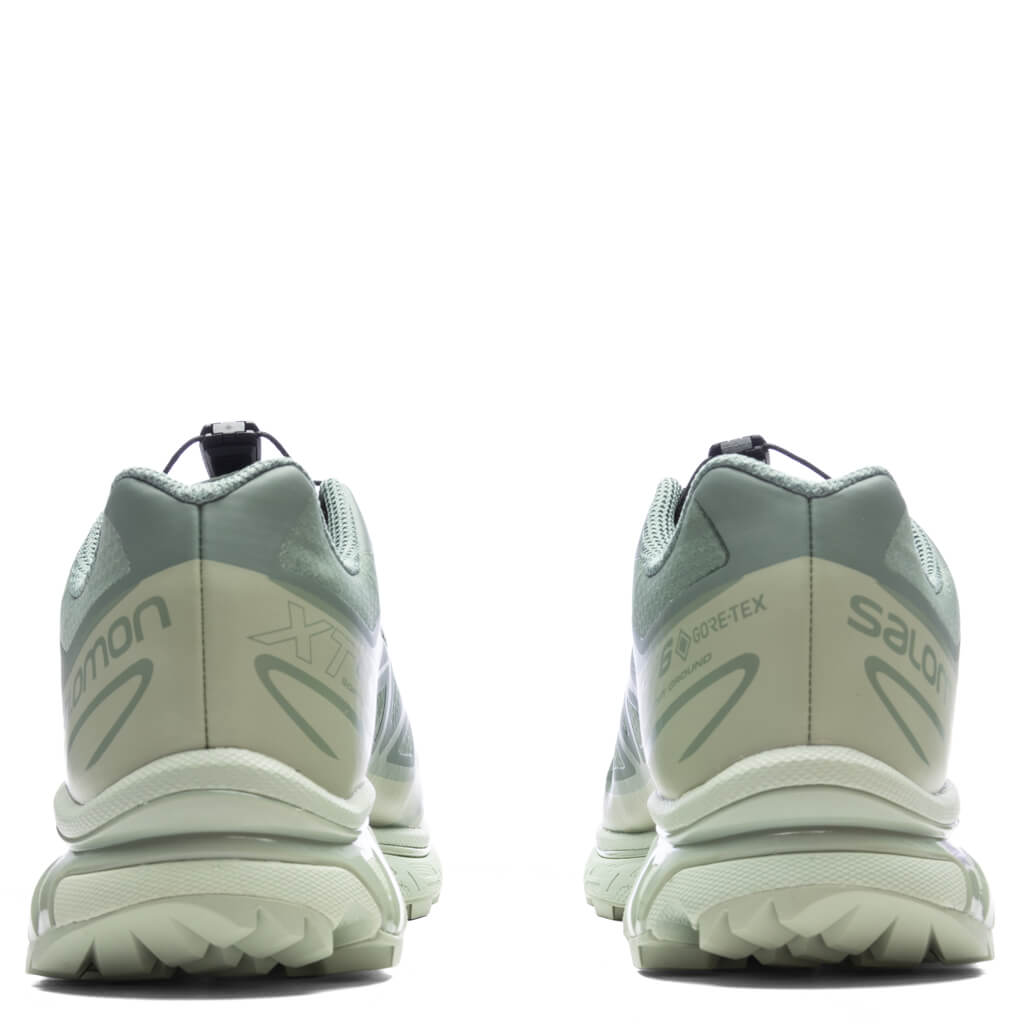 XT-6 GTX - Desert Sage/Lily Pad/Laurel Wren Salomon