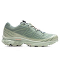 XT-6 GTX - Desert Sage/Lily Pad/Laurel Wren Salomon