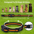 Remote Control Dog Training E-Collar Pawora UK