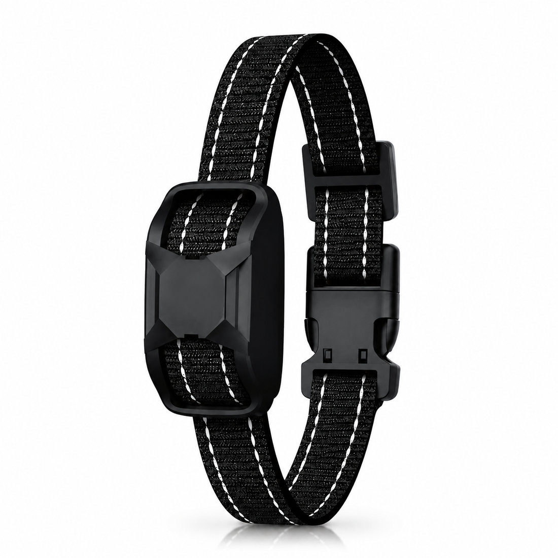 E-Collar Receiver For Dog Training Pawora UK