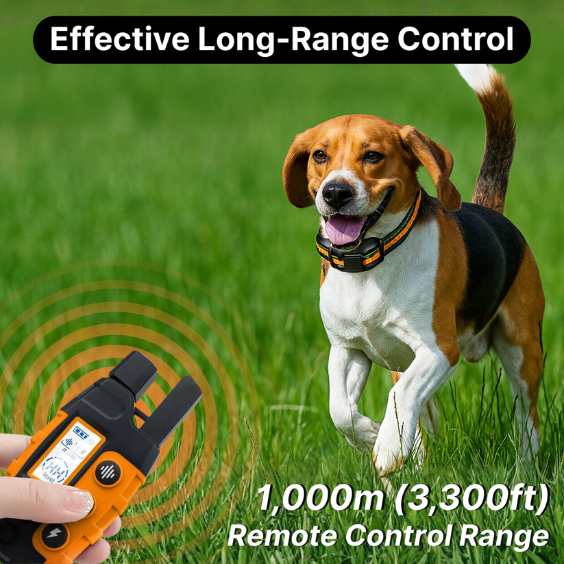 Remote Control Dog Training E-Collar Pawora UK