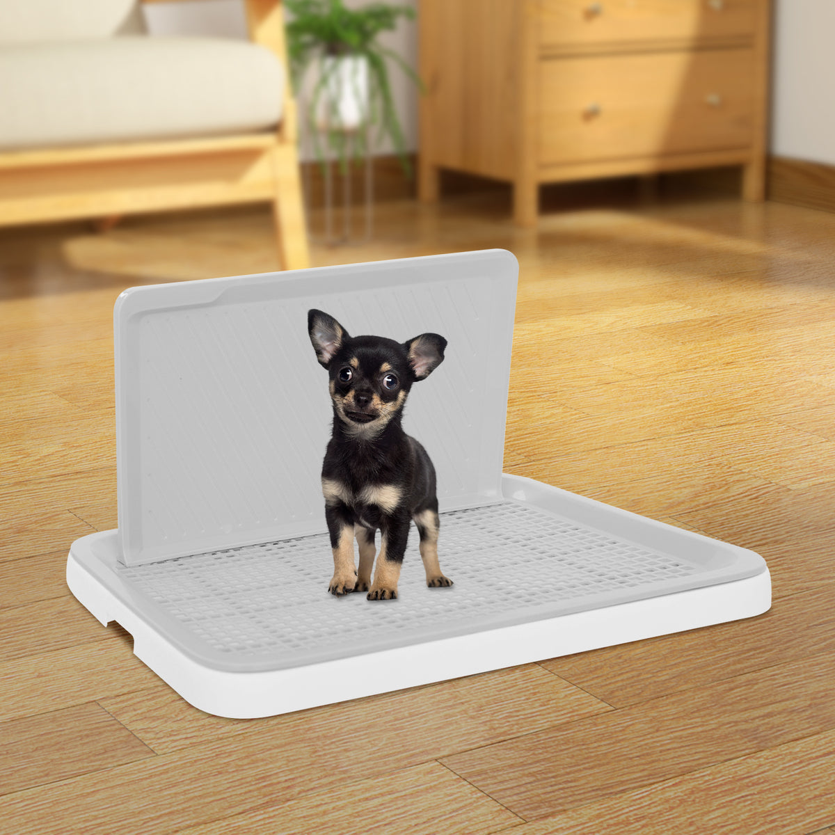 Dog Potty Tray with Wall Pawora UK