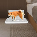Dog Potty Tray with Wall Pawora UK