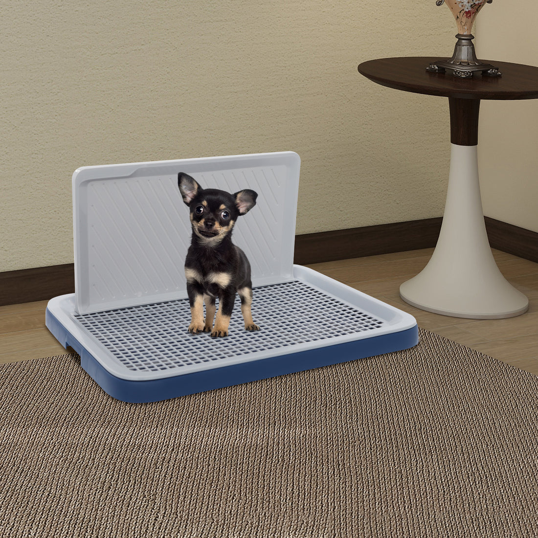 Dog Potty Tray with Wall Pawora UK
